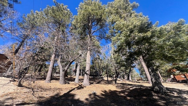 33112 Juniper Lane Property Photo 2