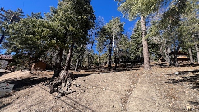 33112 Juniper Lane Property Photo 6