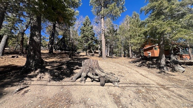 33112 Juniper Lane Property Photo 8