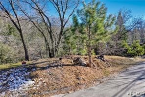 0 Deer Way Property Photo 3
