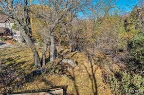 0 Deer Way Property Photo 5