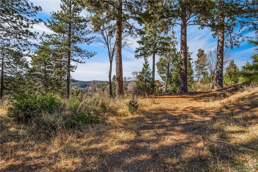109 Mill Pond Road Property Photo 35