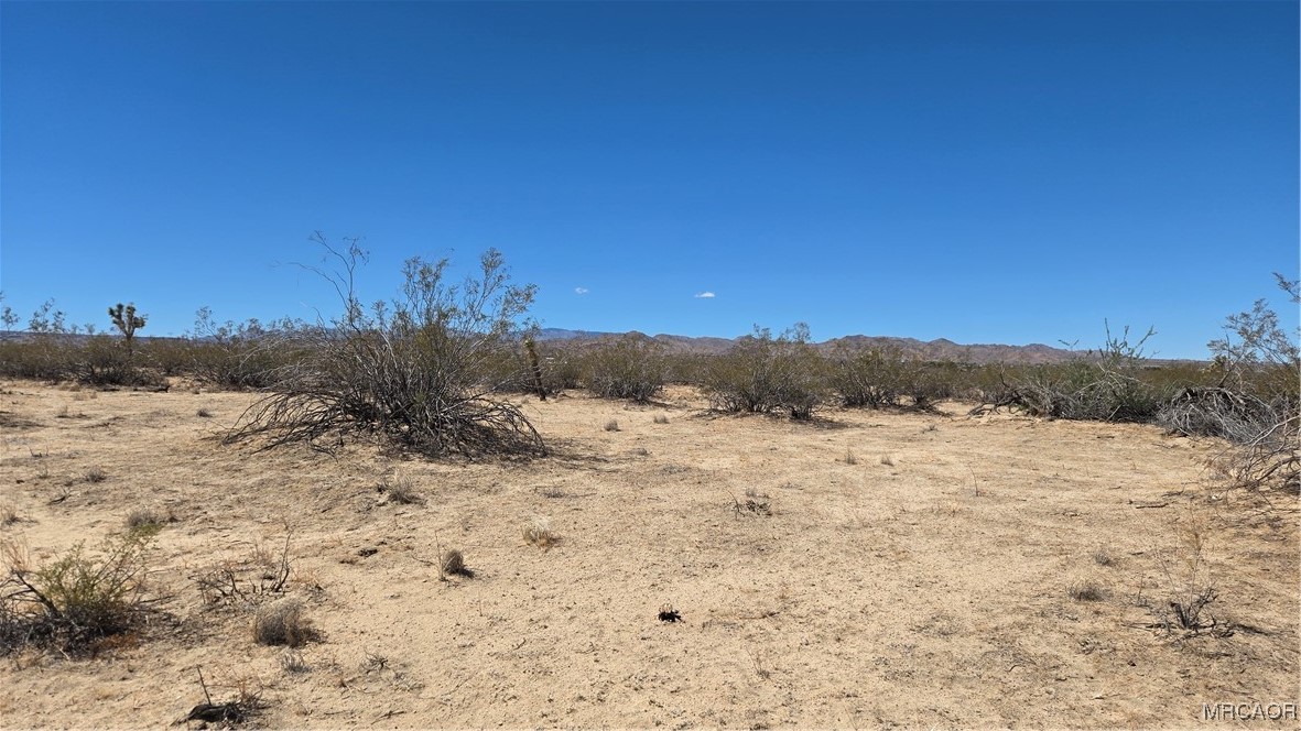 041-02 Pine (Jackrabbit) Lane Property Photo 1