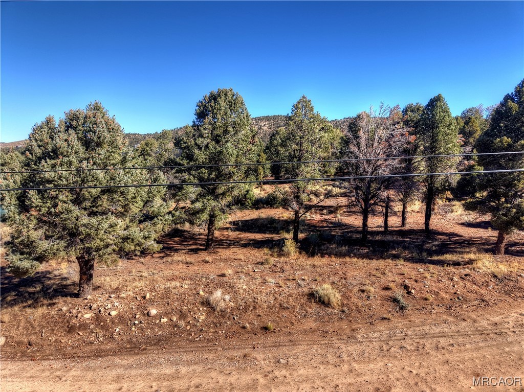 0 Minnow Ln Property Photo 3