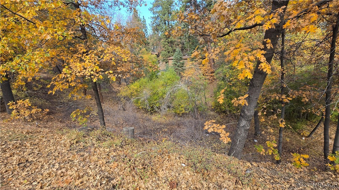 1000 Butte Avenue Property Photo 6