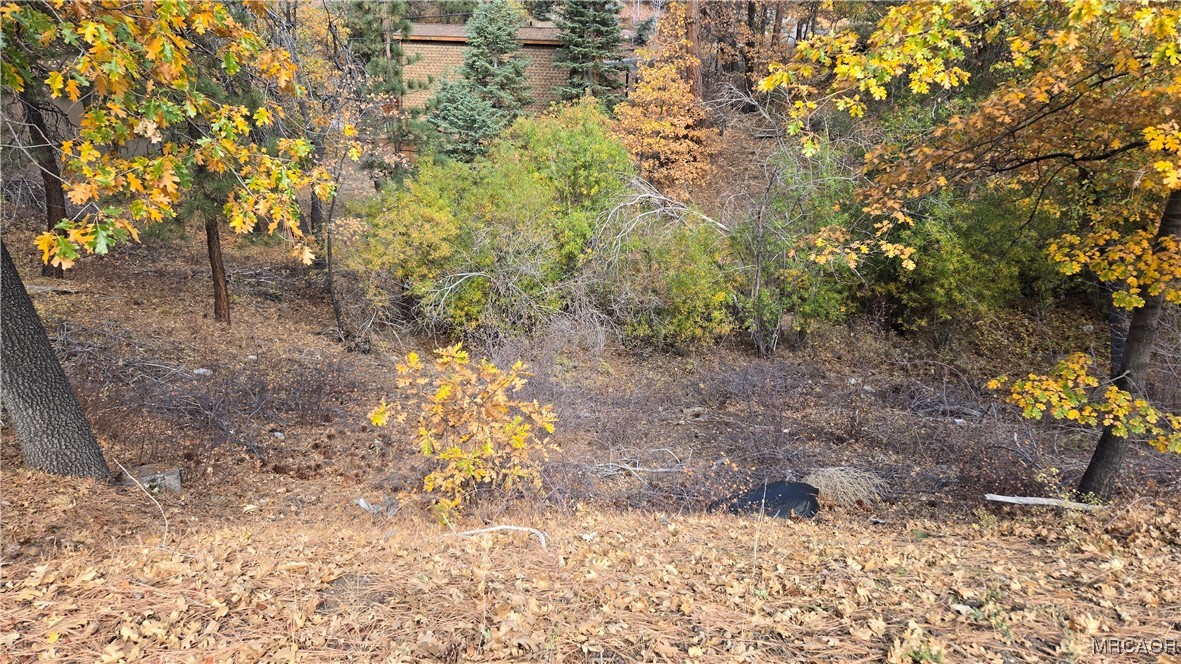 1000 Butte Avenue Property Photo 9