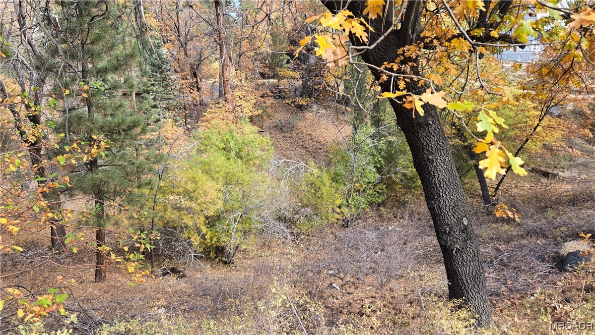 1000 Butte Avenue Property Photo 11