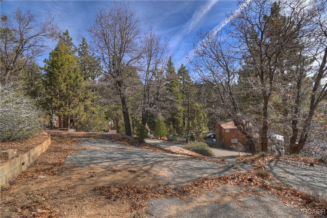 1115 Fawnskin Drive Property Photo 4