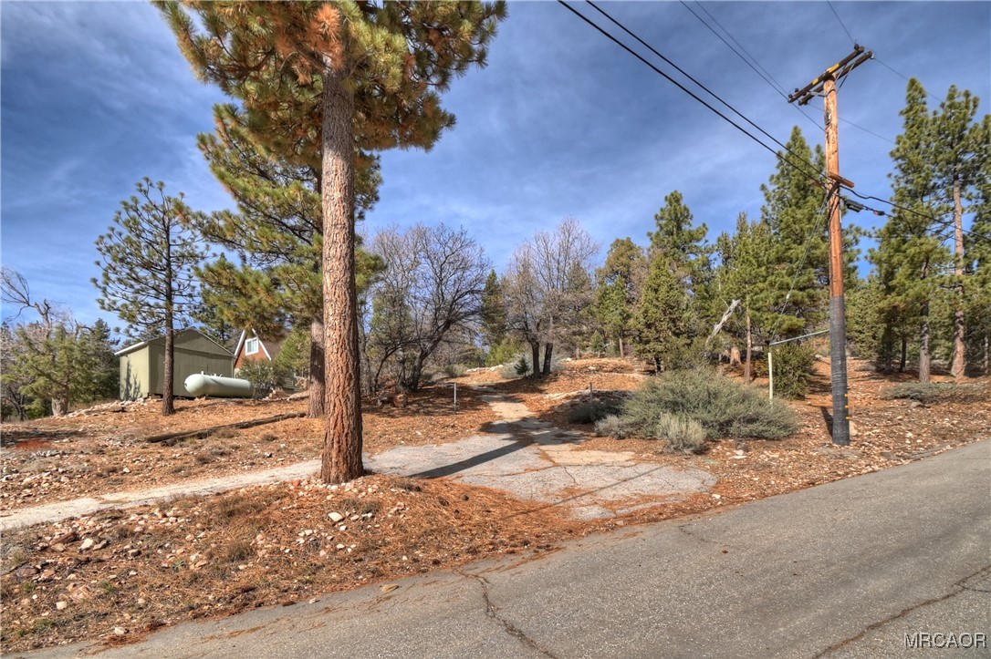 1115 Fawnskin Drive Property Photo 15