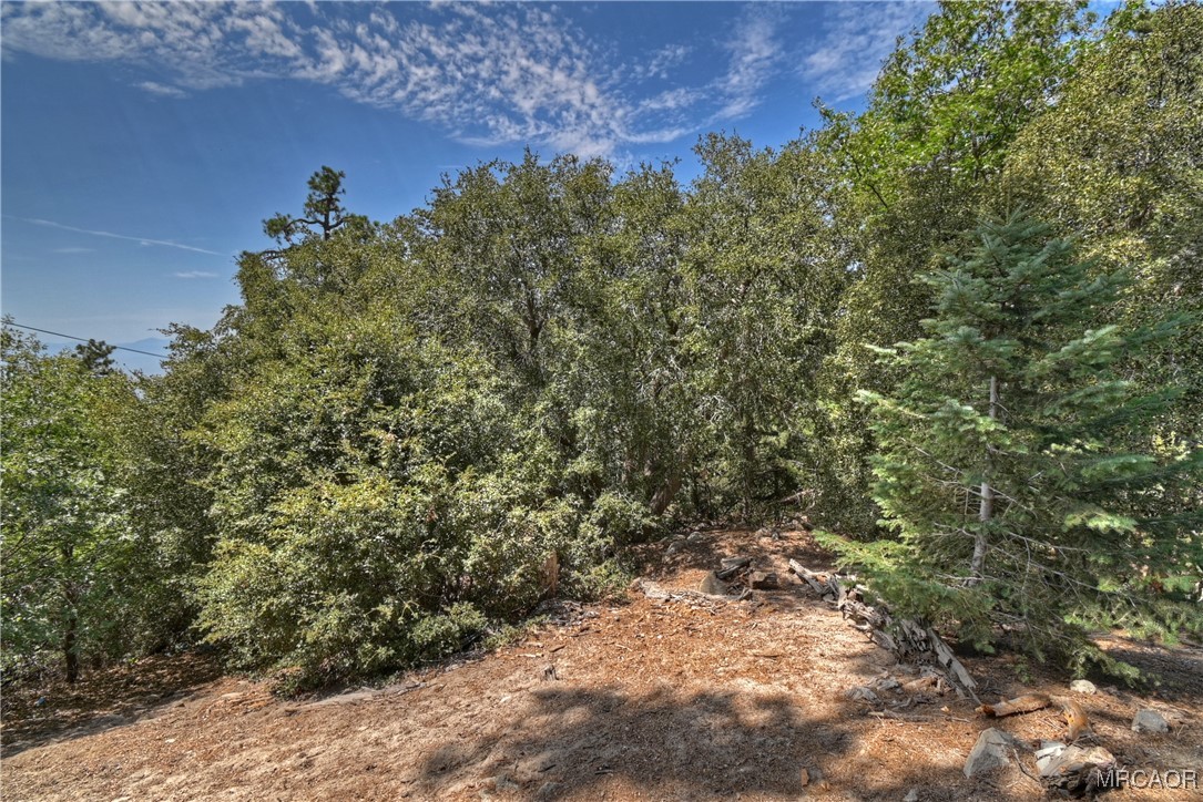 25515 True Lane Property Photo 6