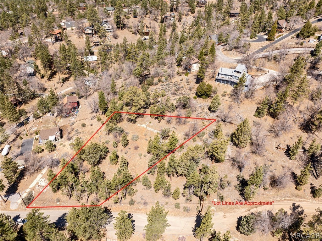 1125 Fawnskin Drive Property Photo 3
