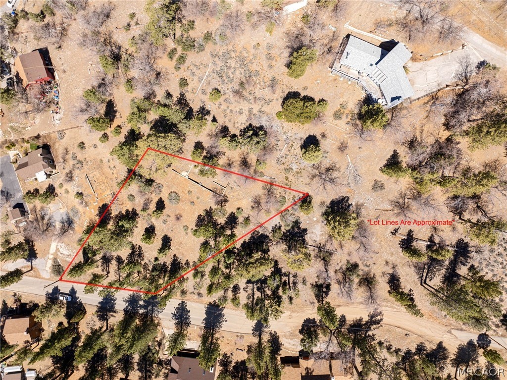 1125 Fawnskin Drive Property Photo 6