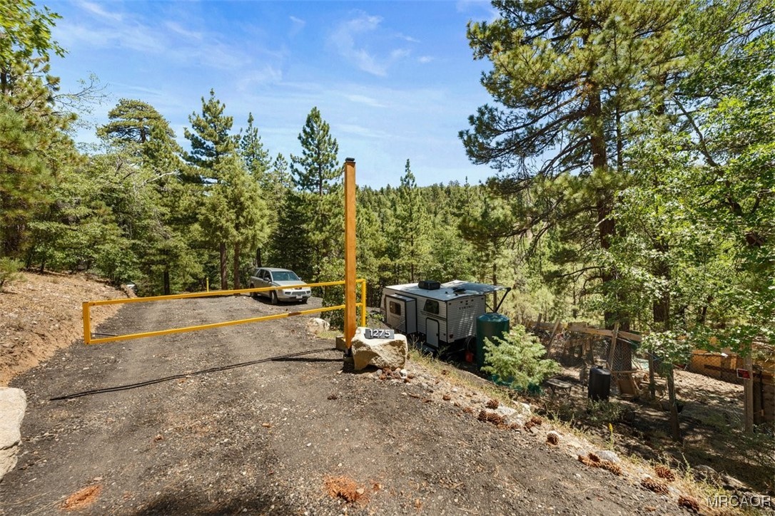 1275 Fawnskin Drive Property Photo 1