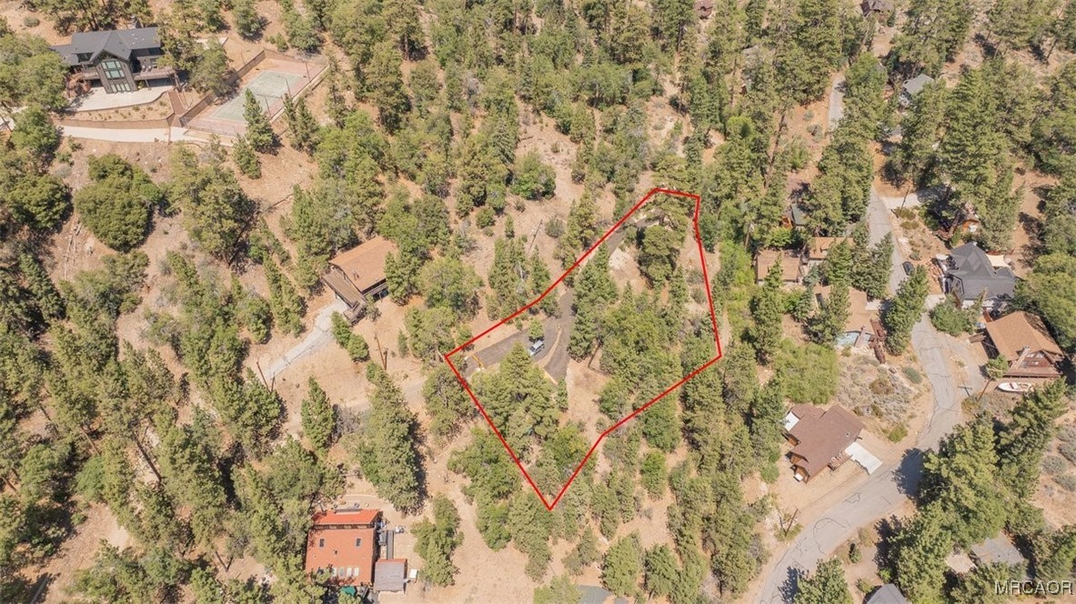 1275 Fawnskin Drive Property Photo 12