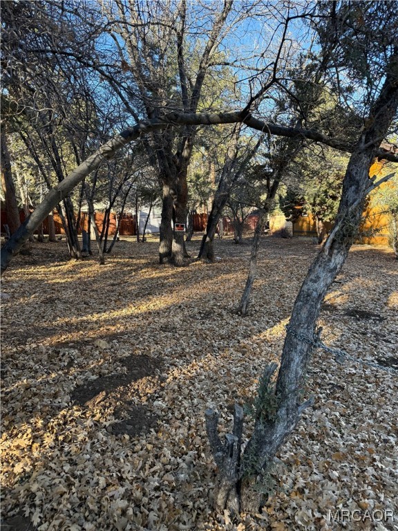 0 San Bernardino Property Photo 4