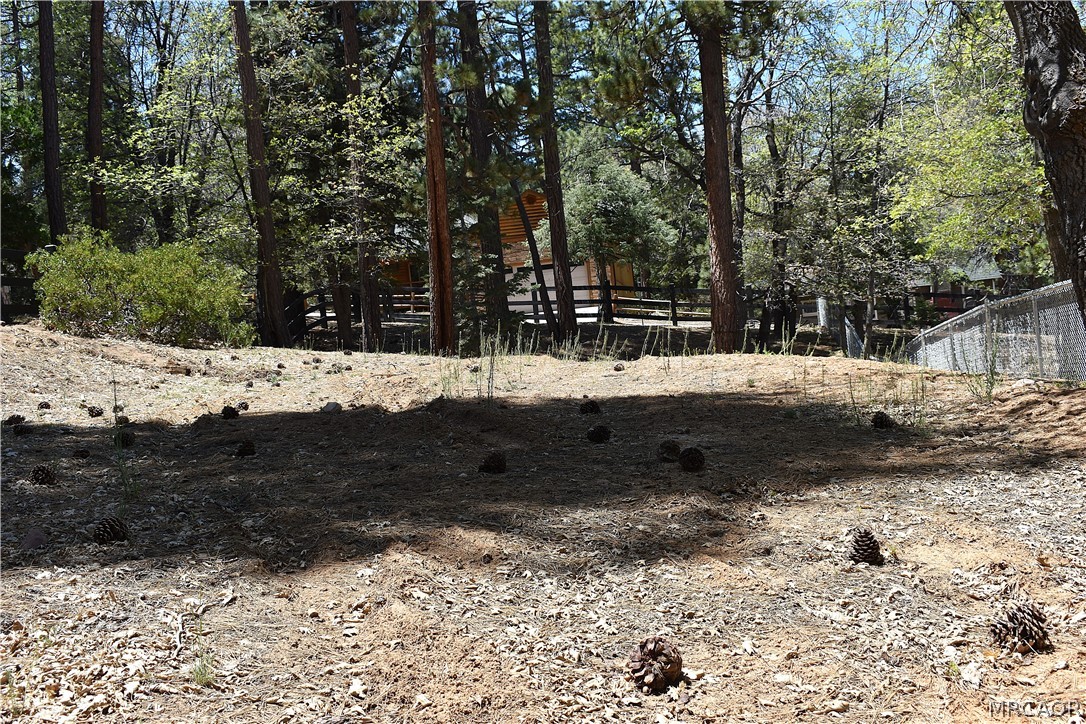 812 Ford Lane Property Photo 15