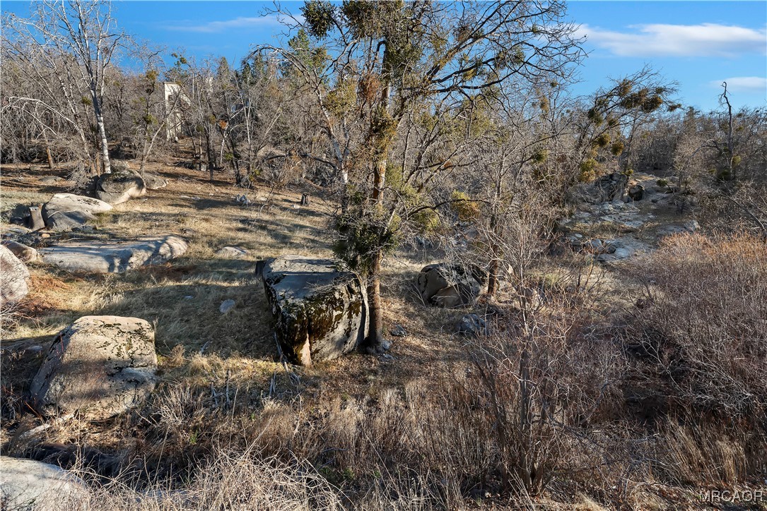33419 Cedar Drive Property Photo 35