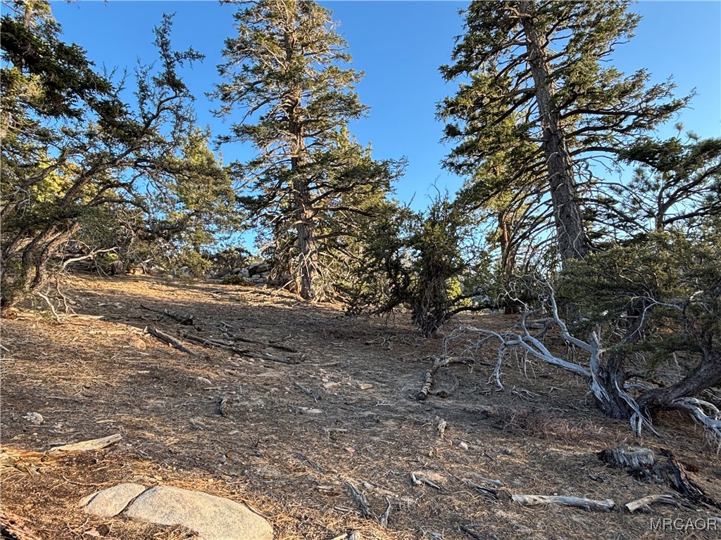 0 Ironwood Property Photo 3