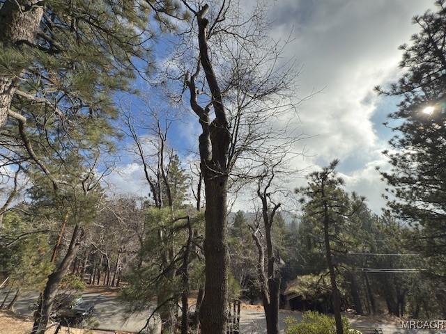 33058 Juniper Lane Property Photo 21
