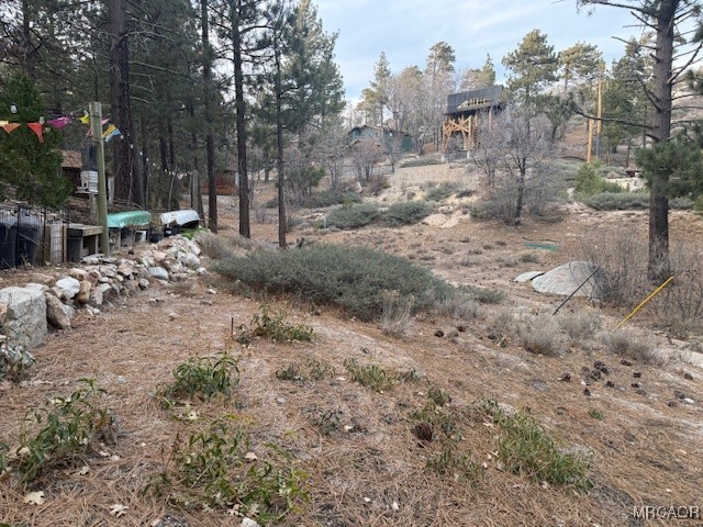 33275 Iris Drive Property Photo 3