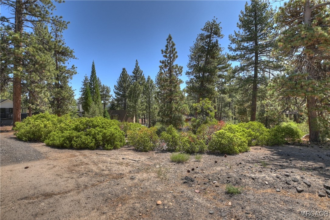 38602 Talbot Property Photo 13