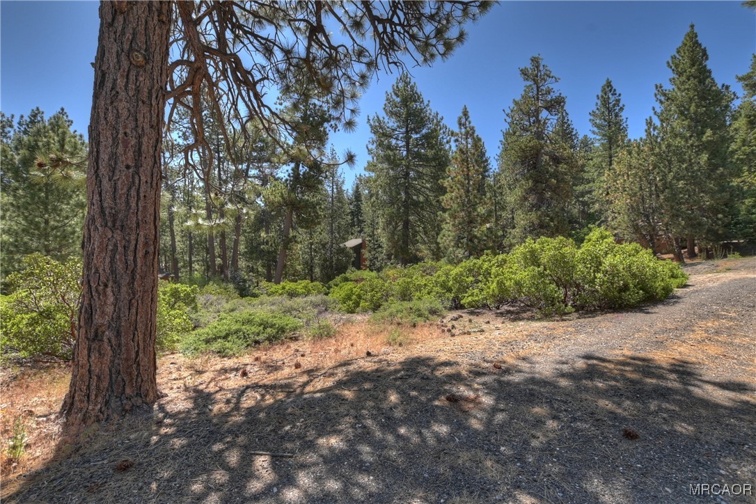 38602 Talbot Property Photo 15