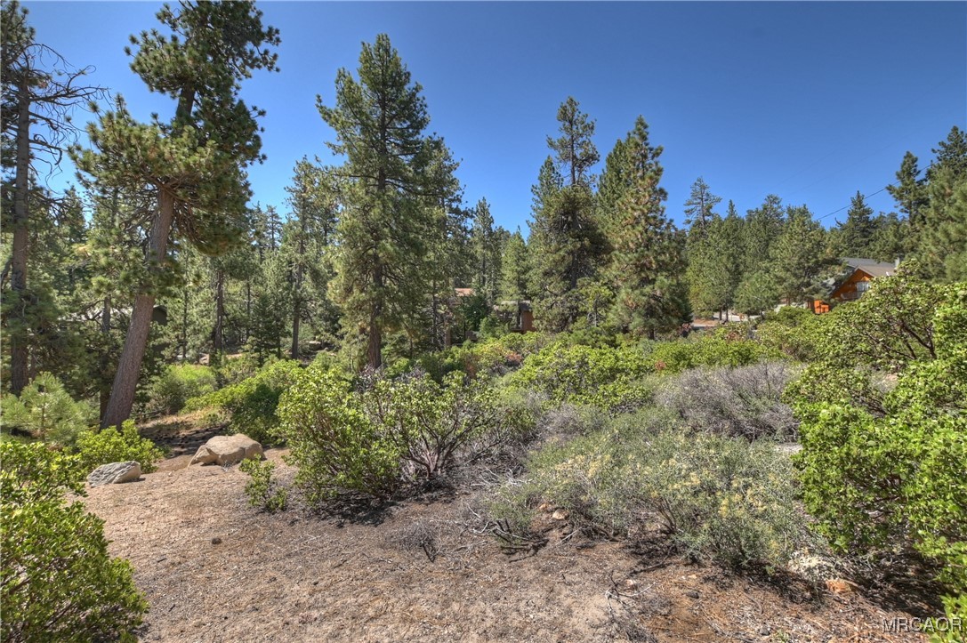 38602 Talbot Property Photo 16