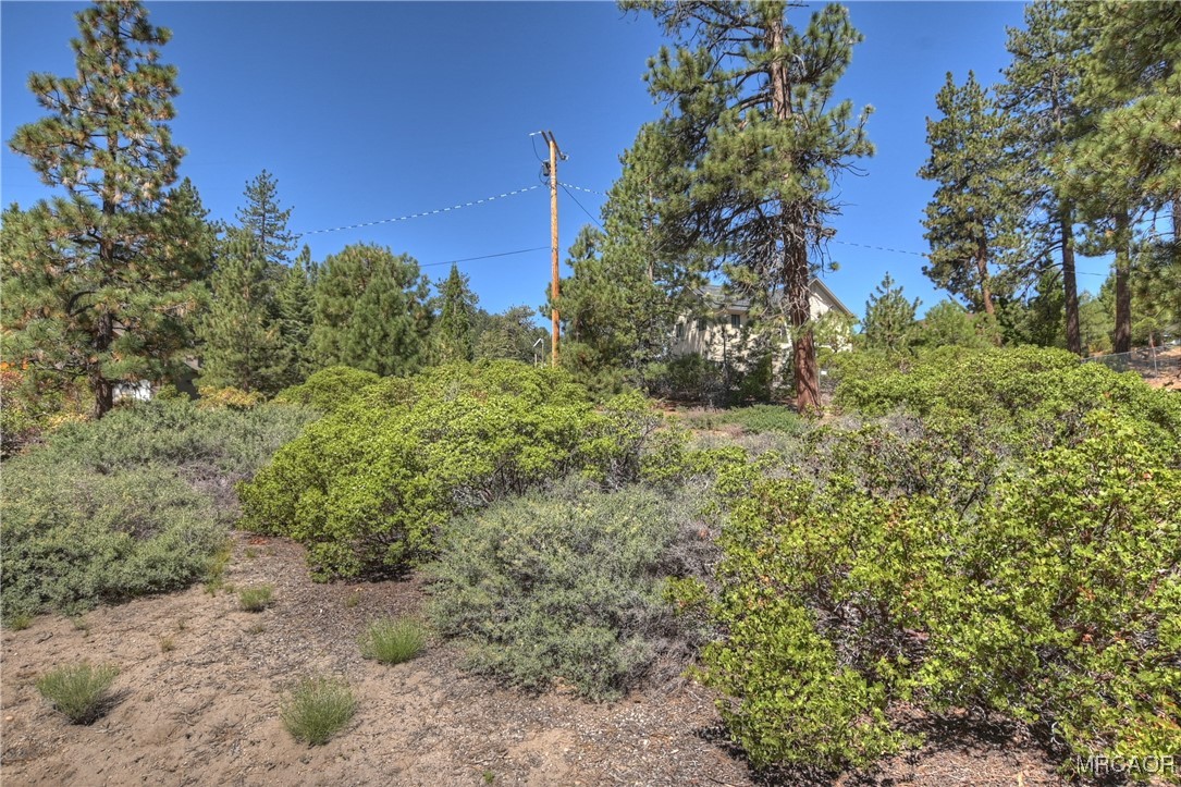 38602 Talbot Property Photo 17