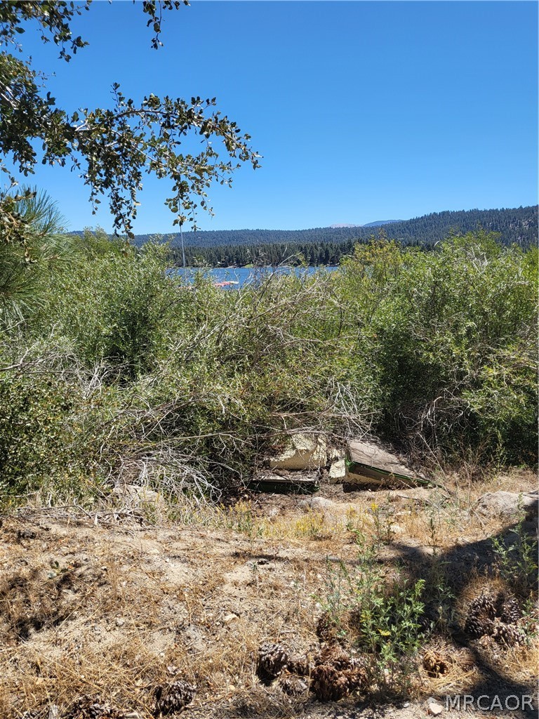 0 North Shore Drive Property Photo 3