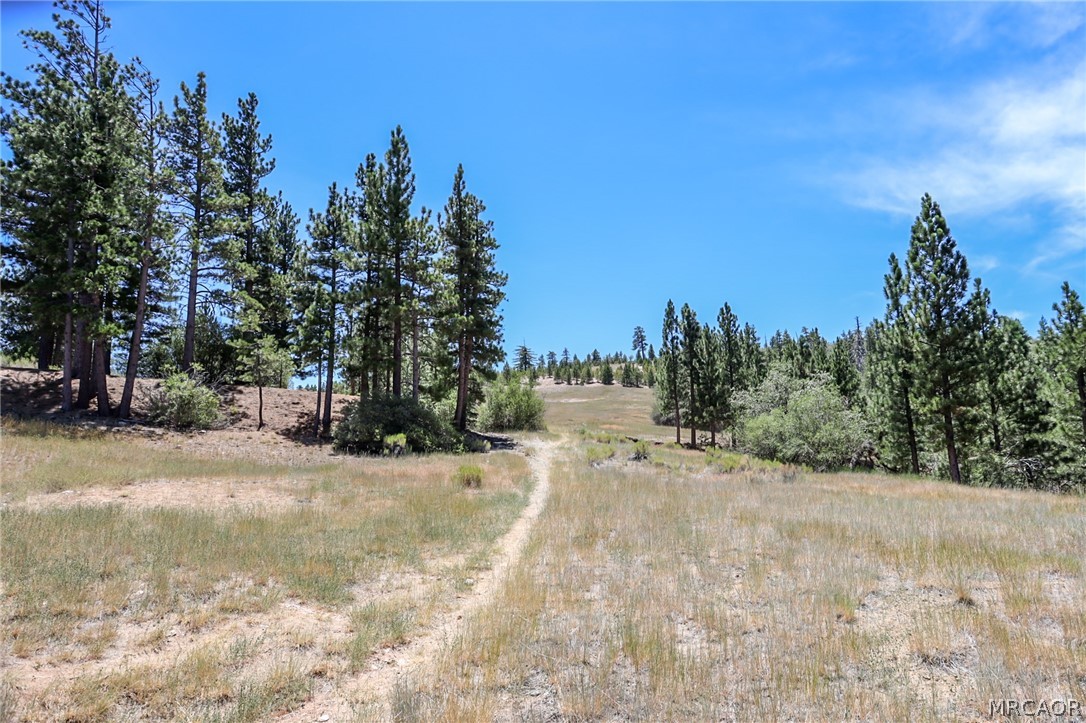 896 Sky High Drive Property Photo 49