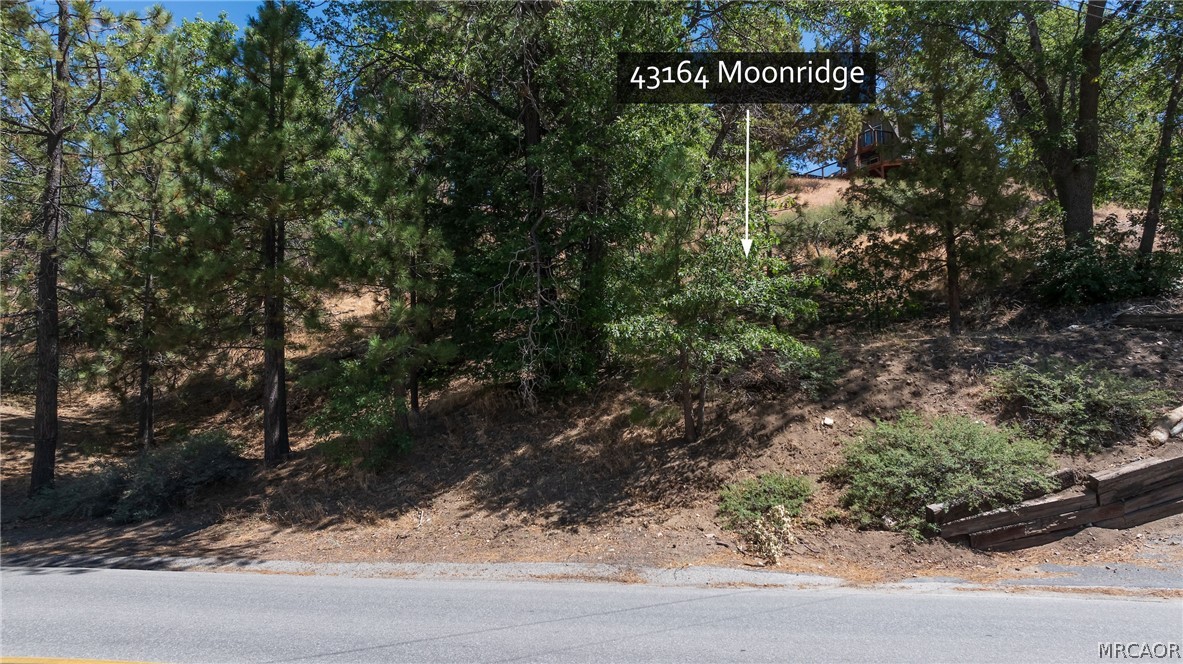 43164 Moonridge Road Property Photo 8