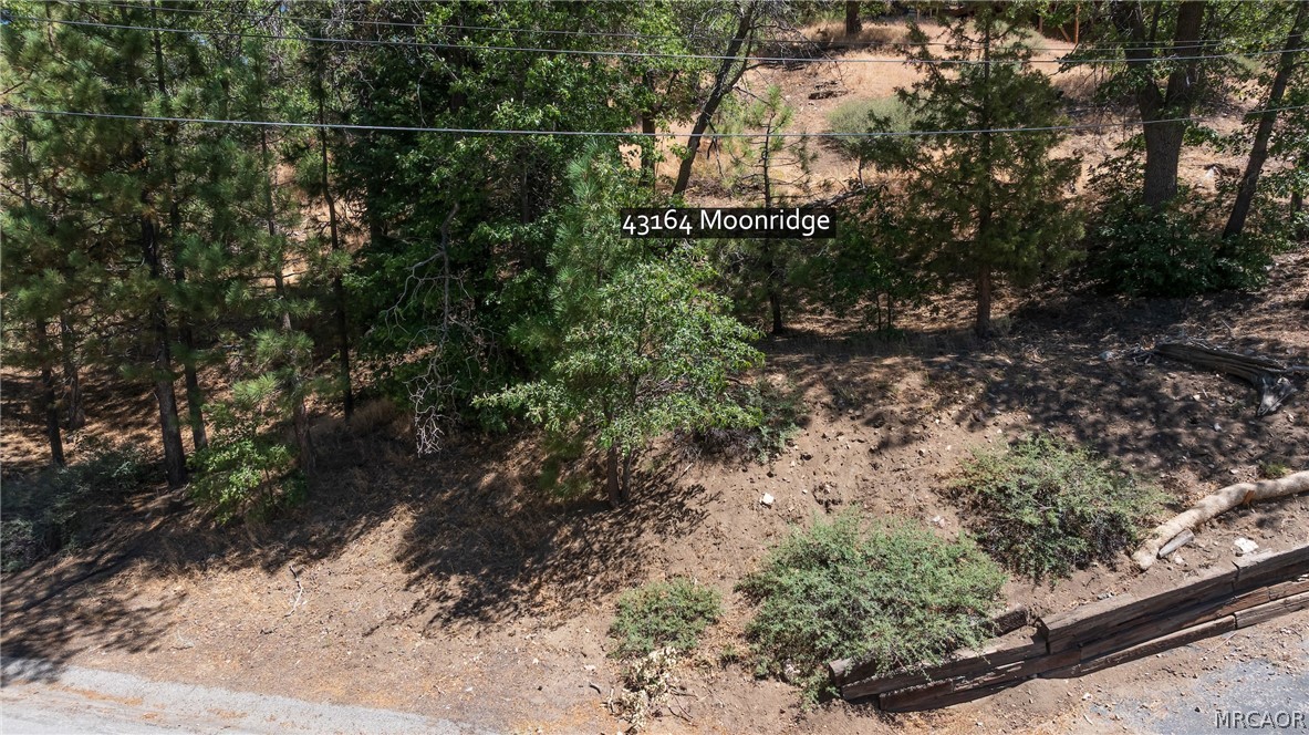 43164 Moonridge Road Property Photo 9