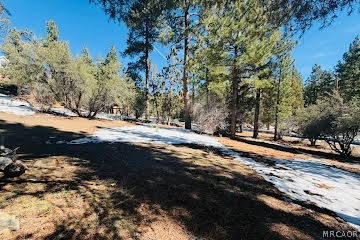 808 Antelope Mountain Drive Property Photo 1