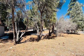 808 Antelope Mountain Drive Property Photo 2
