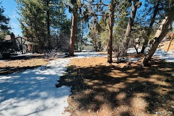 808 Antelope Mountain Drive Property Photo 3