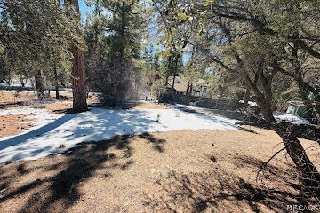 808 Antelope Mountain Drive Property Photo 4