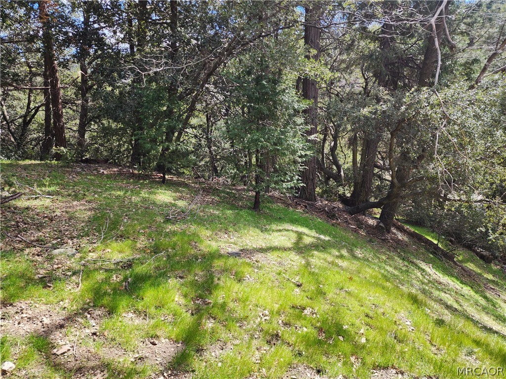 0 Running Springs Lane Property Photo 6