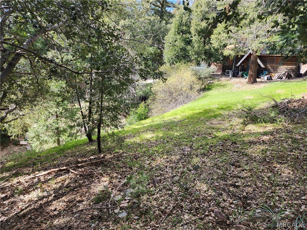 0 Running Springs Lane Property Photo 8