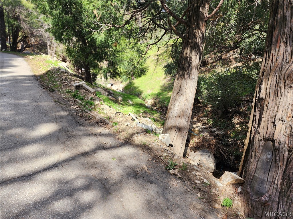 0 Running Springs Lane Property Photo 11