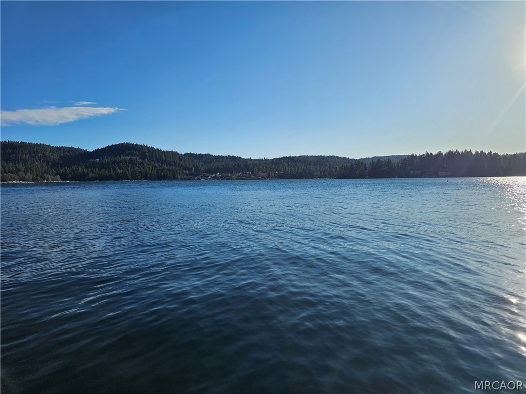 N 295 North Shore Rd B Property Photo 26