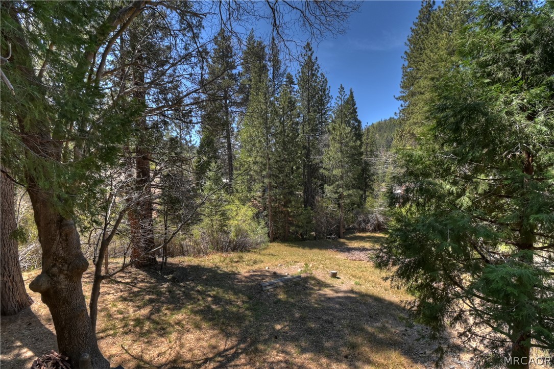 32868 Conifer Camp Road Property Photo 46