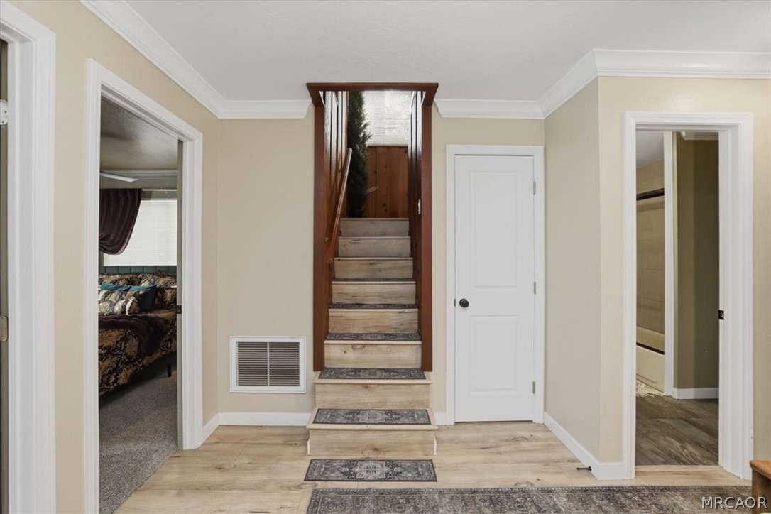 1113 Michael Avenue Property Photo 15