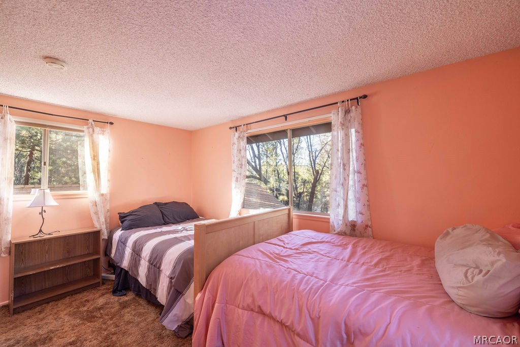 41789 Comstock Lane Property Photo 37