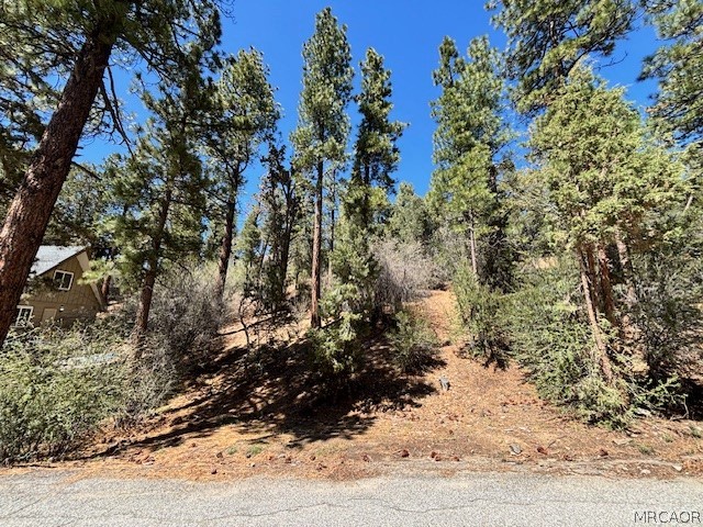 0 East Rainbow Boulevard Property Photo 1