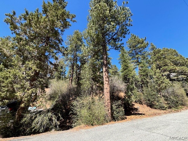 0 East Rainbow Boulevard Property Photo 2