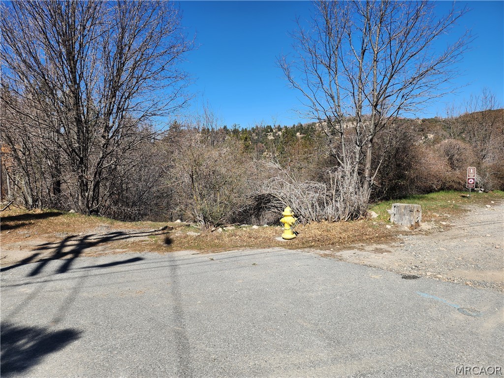 0 Elder Drive Property Photo 4