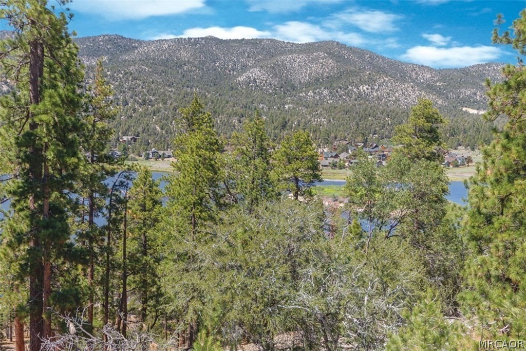 469 Morningstar Place Property Photo 44