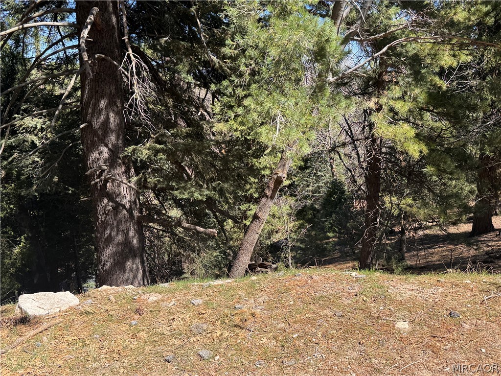 0 Mid Lane Property Photo 4