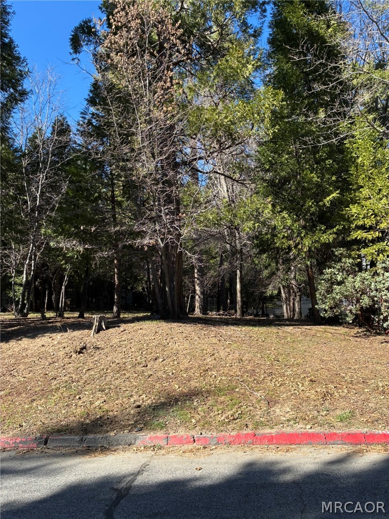 27488 Meadow Bay Property Photo 4