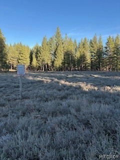 34557 Polique Canyon Trail Property Photo 2